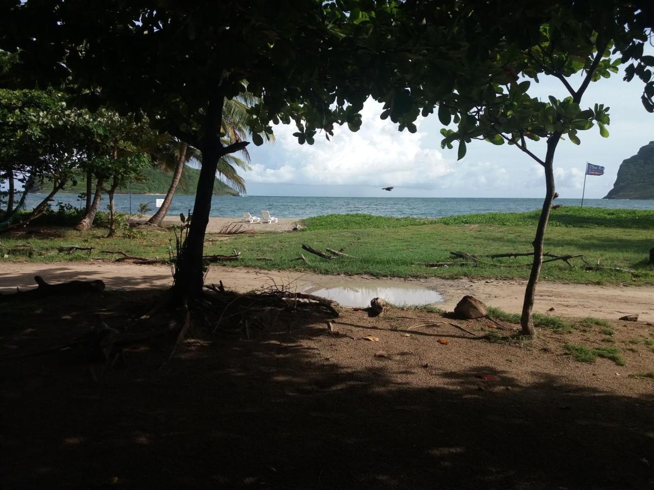 The Reef Beach Huts Hotel Vieux Fort Luaran gambar