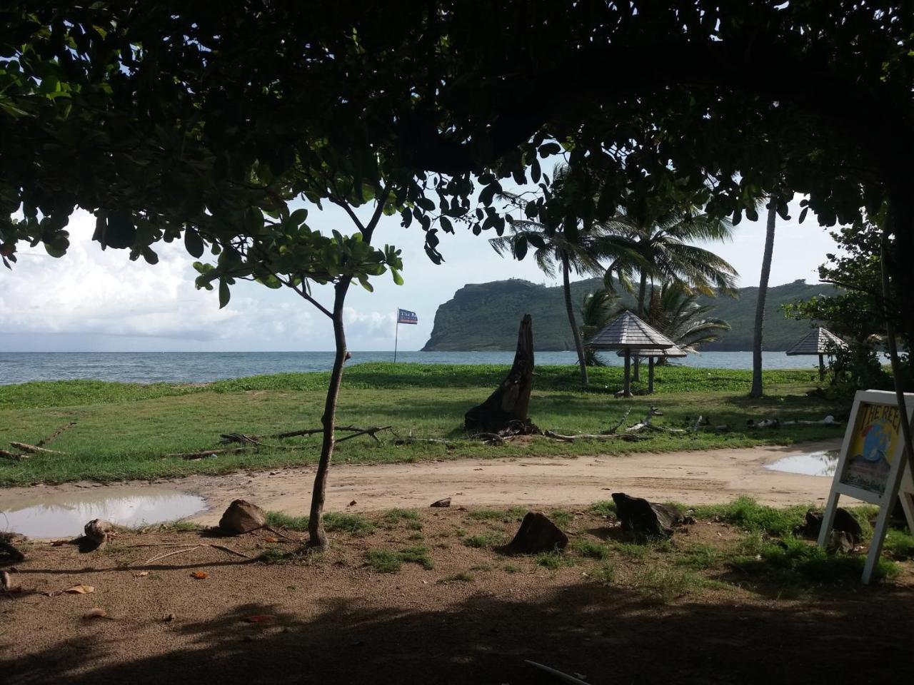 The Reef Beach Huts Hotel Vieux Fort Luaran gambar