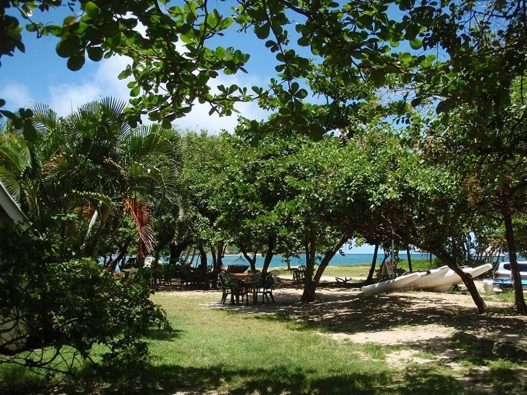 The Reef Beach Huts Hotel Vieux Fort Luaran gambar